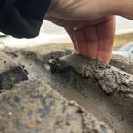 Used 2021 John Deere S780 at Papé Machinery Ag & Turf in Colfax, WA