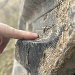 Used 2024 John Deere 9RX590 at Papé Machinery Ag & Turf in Four Lakes, WA