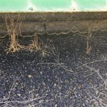 Used 2020 John Deere R990R at Papé Machinery Ag & Turf in Quincy, WA