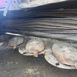 Used 2011 MASSEY FERGUSON WR9770 at Papé Machinery Ag & Turf in Madras, OR