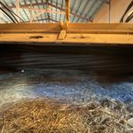 Used 2009 NEW HOLLAND H8080 at Papé Machinery Ag & Turf in Madras, OR