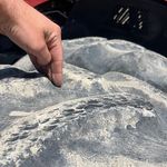 Used 2011 CASE 315 at Papé Machinery Ag & Turf in Colusa, CA