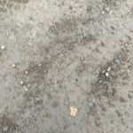 Used 2017 JOHN DEERE 644K at Papé Machinery Construction & Forestry Handling in Eugene, OR