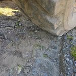 Used 2019 JOHN DEERE 244L at Papé Machinery Construction & Forestry Handling in Kent, WA