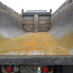 Used 2018 KENWORTH T880 at Papé Kenworth in Federal Way, WA