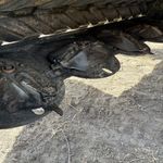  2011 John Deere 956 at LandMark in Arapahoe, NE