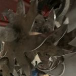  2021 Sunflower 6830-25 at LandMark in Minden, NE