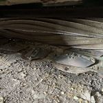  2019 John Deere 956 at LandMark in Lexington, NE