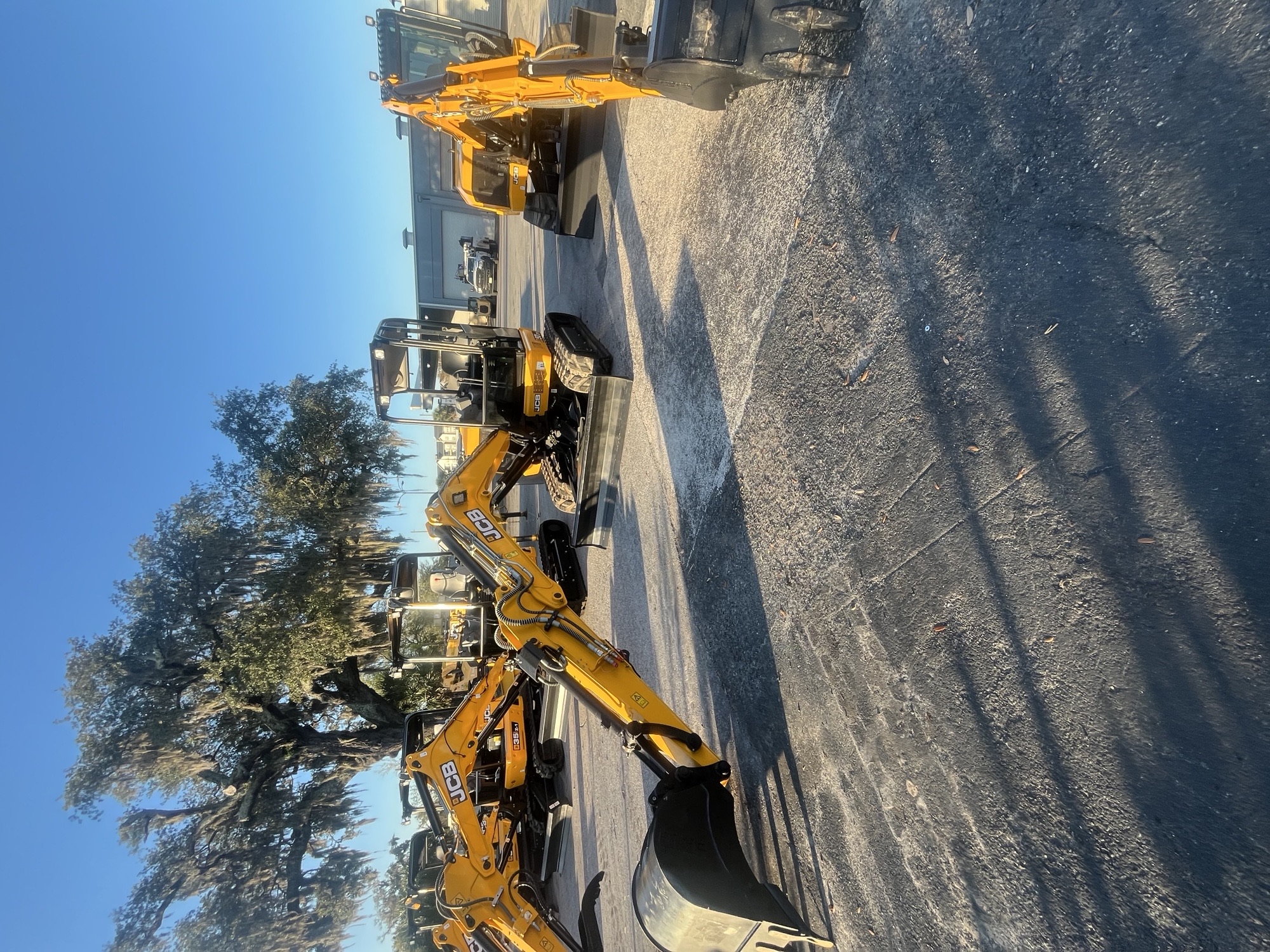 New 2025 JCB 50Z-1 T4 at Briggs Equipment in Jacksonville, FL (JCB)
