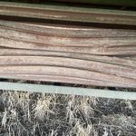  2024 John Deere C500 at LandMark in Minden, NE