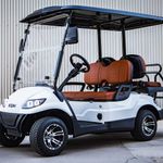 New  Cruise Car C40 at Briggs Equipment in Baton Rouge, LA