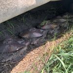  2018 NEW HOLLAND H670 at LandMark in Minden, NE